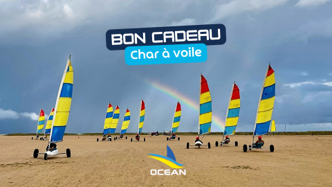 Bon Cadeau 1 séance Char adulte