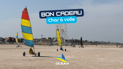 Bon Cadeau 1 séance Char (12-17 ans)